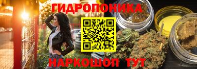 молекула духа Чебоксары