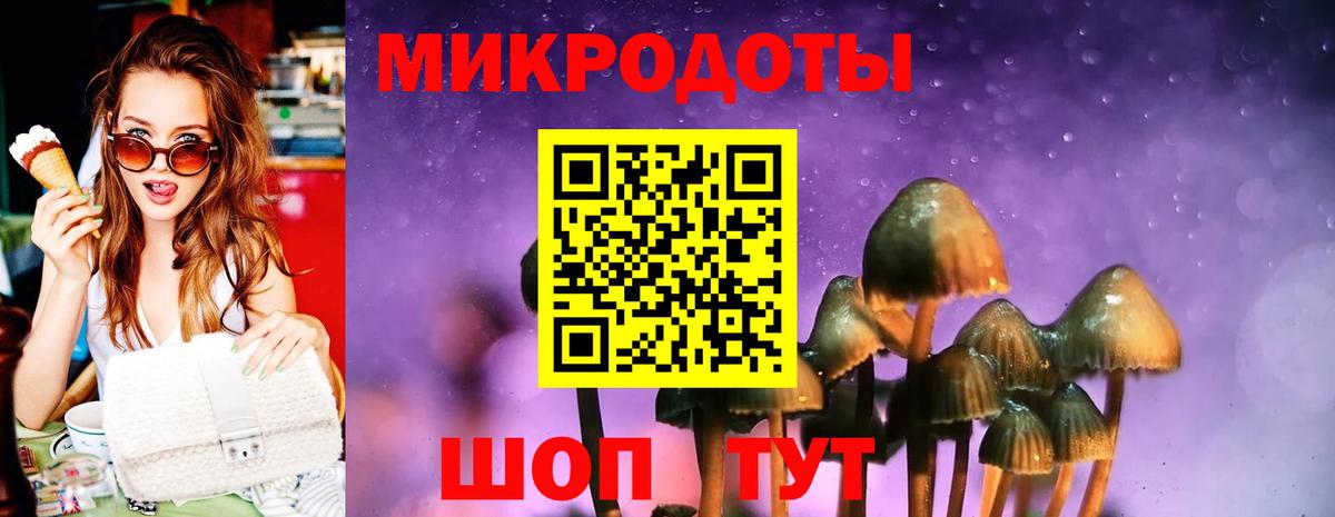 Галлюциногенные грибы Psilocybine cubensis  Вход с VPN  Соль-Илецк 